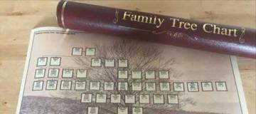 a family tree chart and case